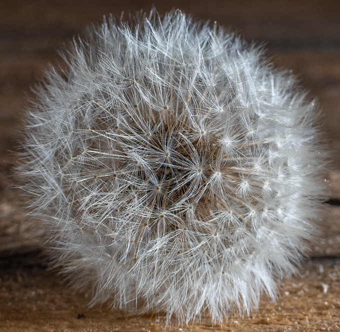 20 -Fluffy Pattern
